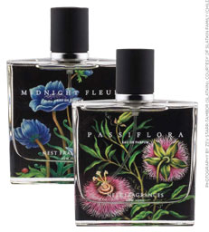 NEST Fine Fragrances